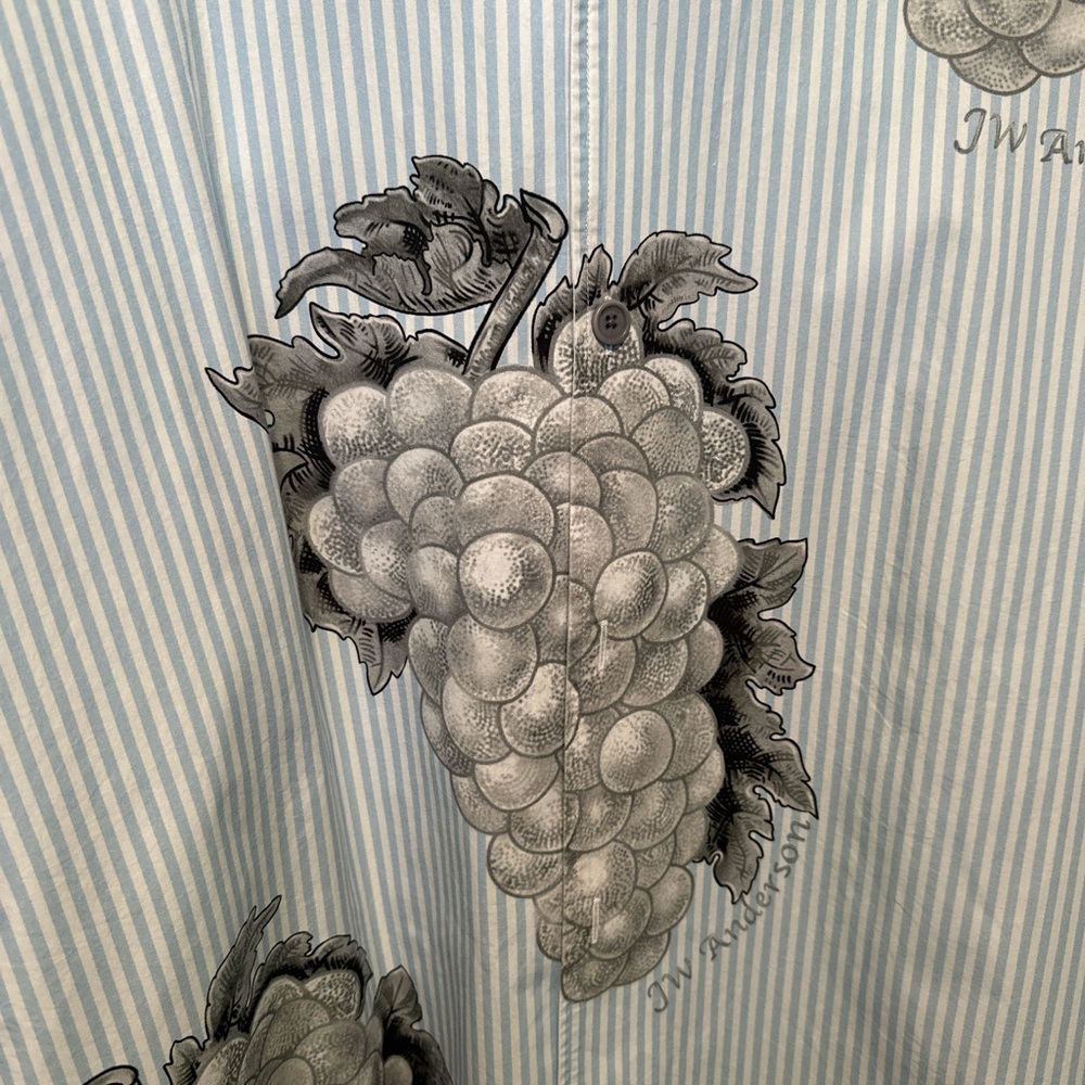 JW Anderson Light Blue Striped Shirt with Grapes Motif - Picture 2 of 4